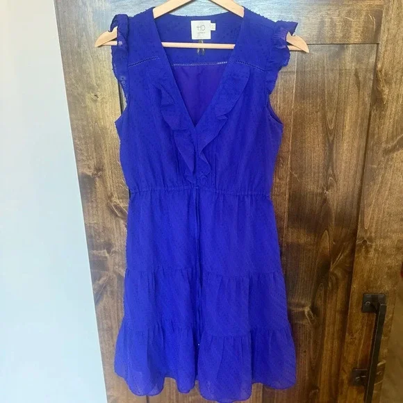 HD in Paris Royal Blue Ruffle Dress Women 0 Sleeveless Fit
Flare Anthropologie - Picture 5 of 9